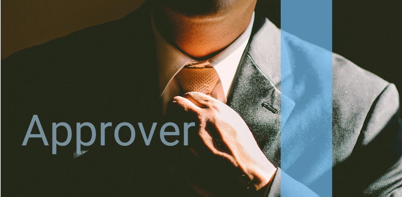 Business man approver image